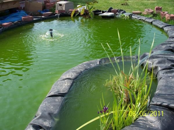 Bog overflowing on right side, perfect!
