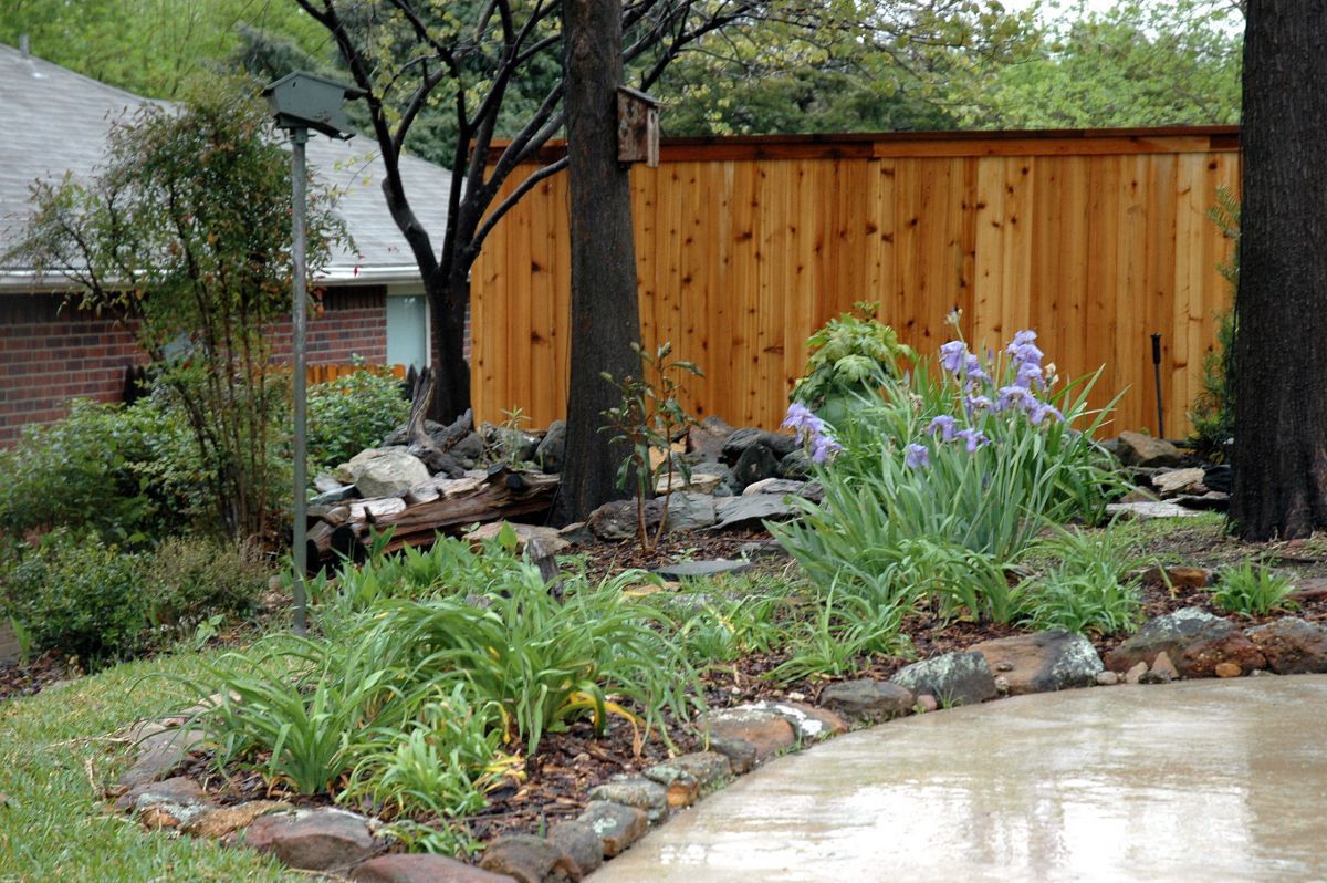 Cathy's Bigger Lily Bed