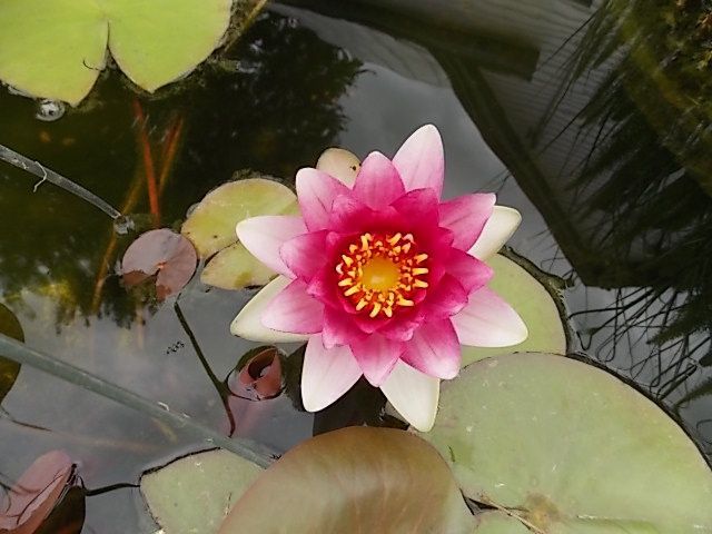 DSCN0877