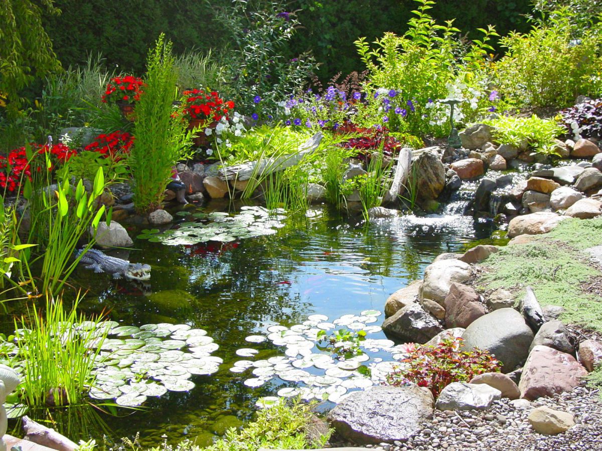 Ecosystem Fish Ponds In Rochester NY