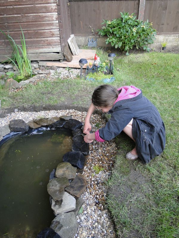 Edging the pond