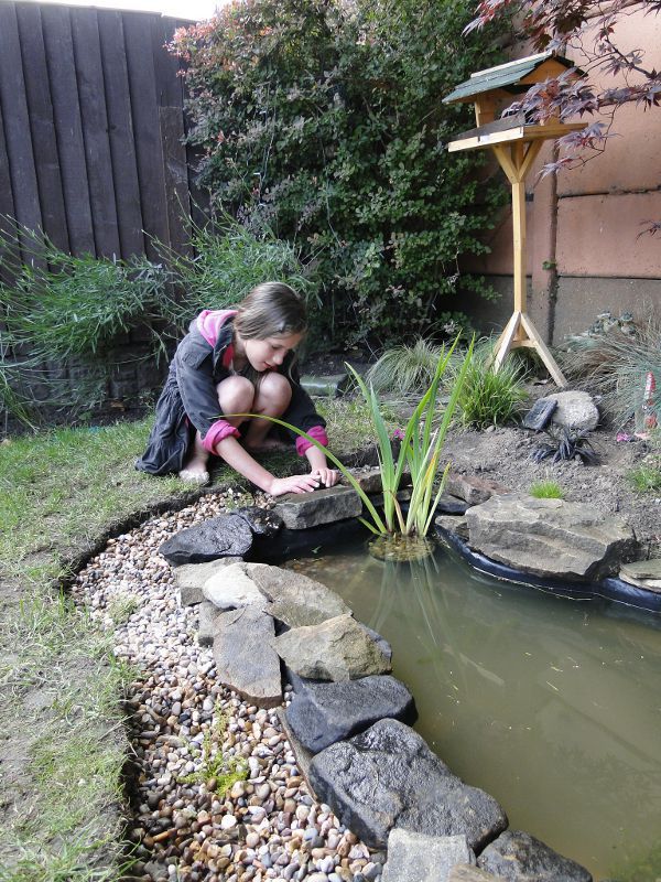 Edging the pond