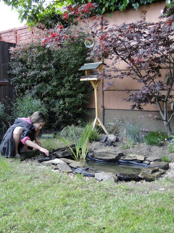 Edging the pond