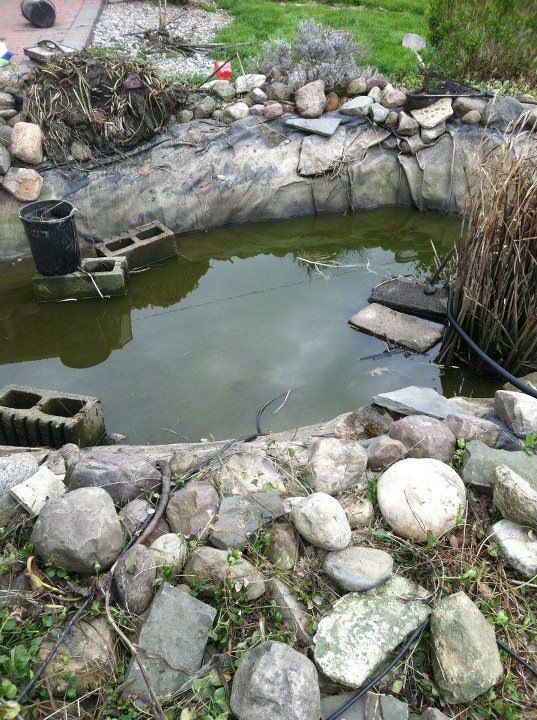 Emptying the pond