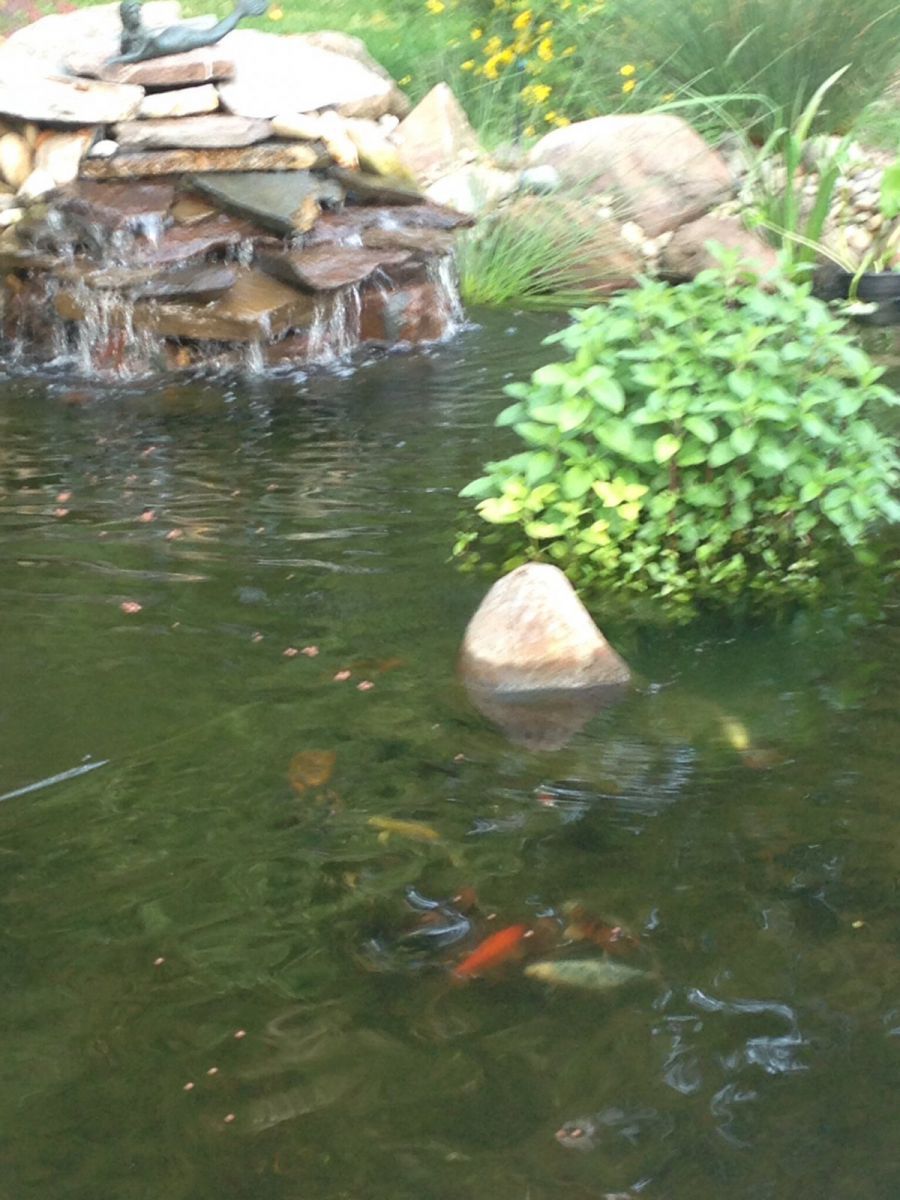 Fall asleep to waterfall