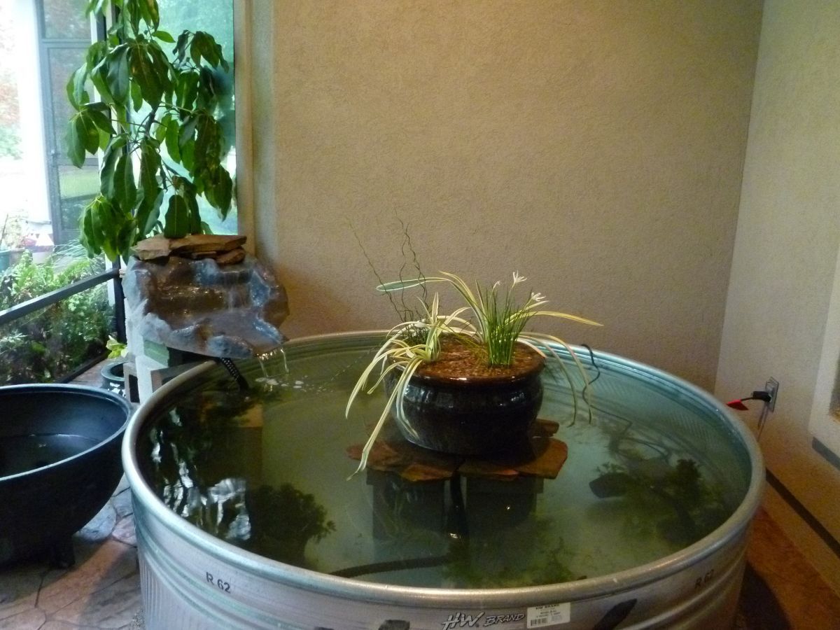 First water to cycle before adding fish