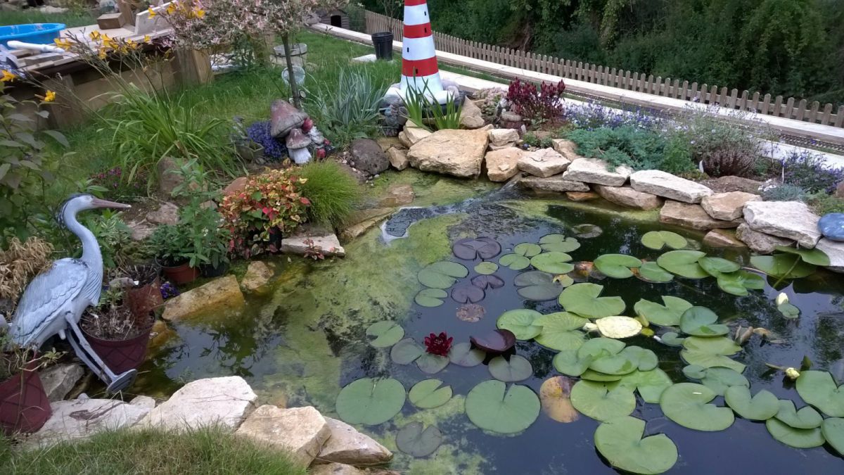 Fish Pond (AKA Top Pond)