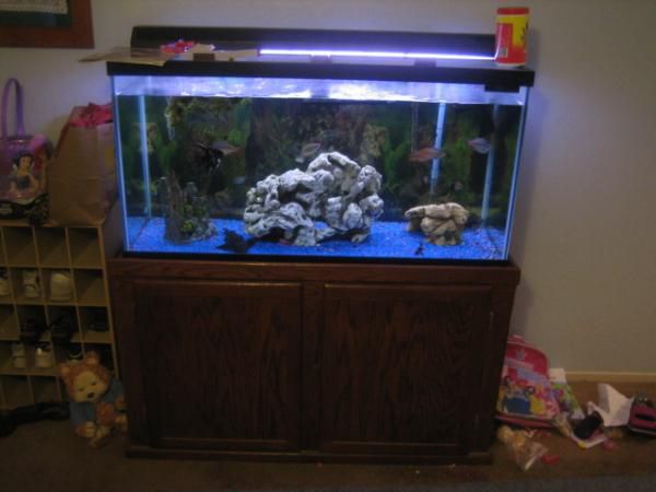 Fresh water in 135 gal