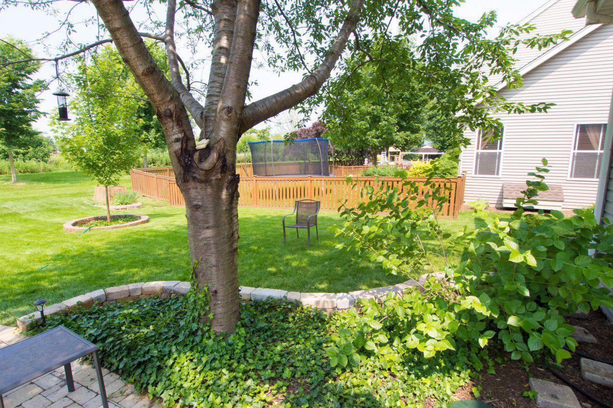 Future pond area from the doorway