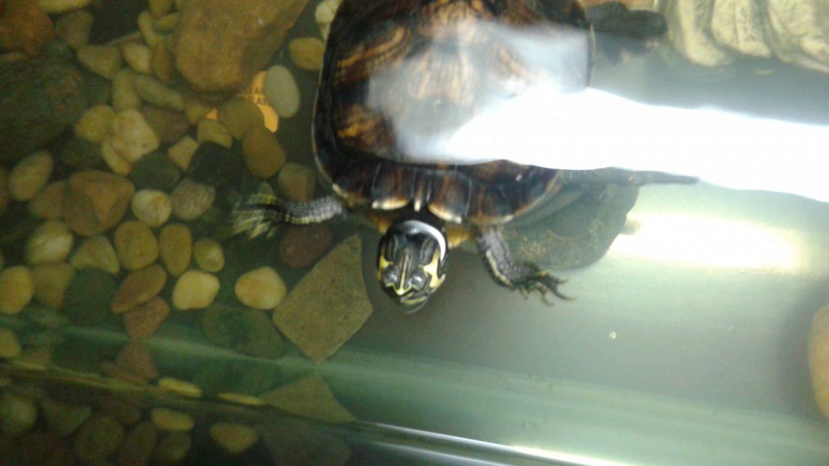 Hey buddy