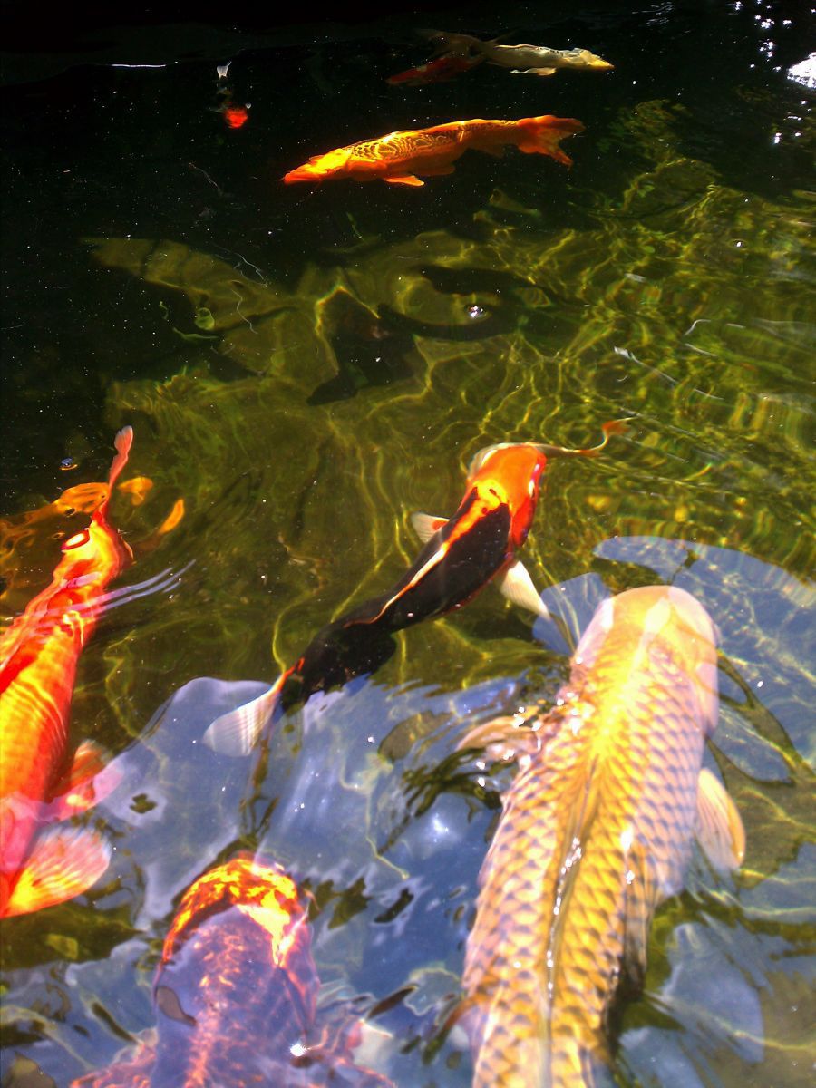 IMAG2582