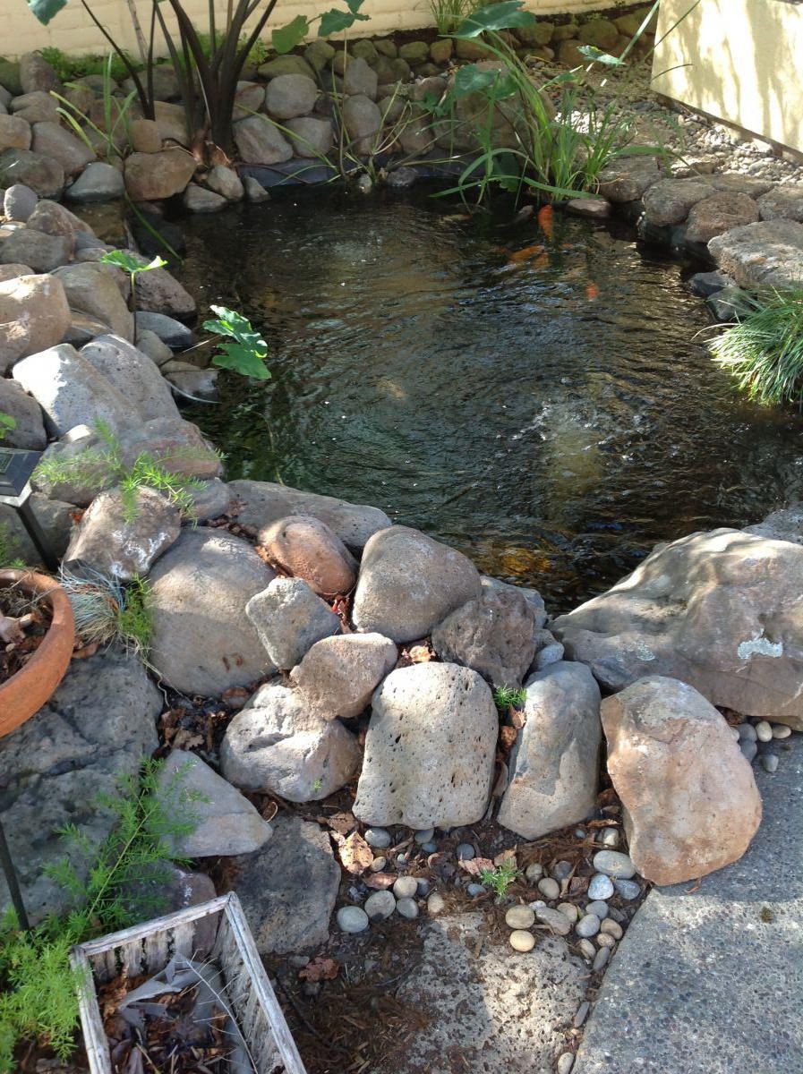 image from iPad