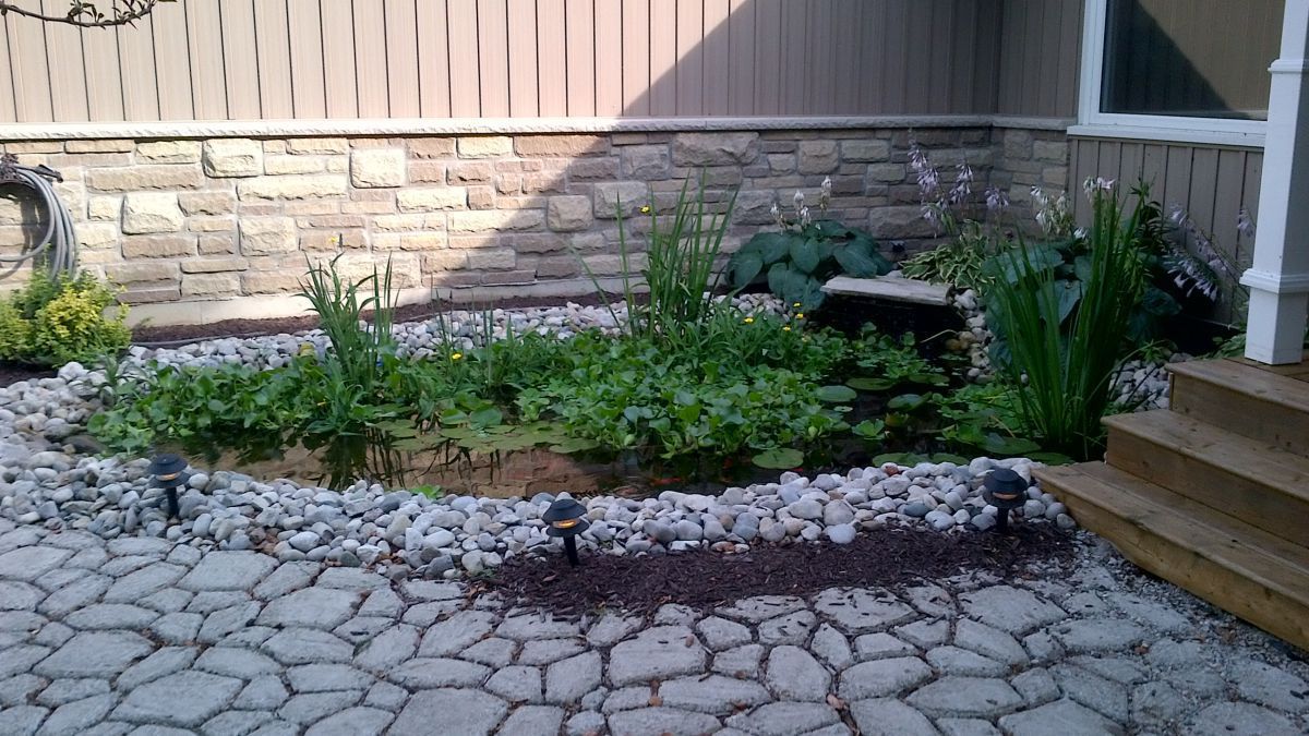 IMG 00000162