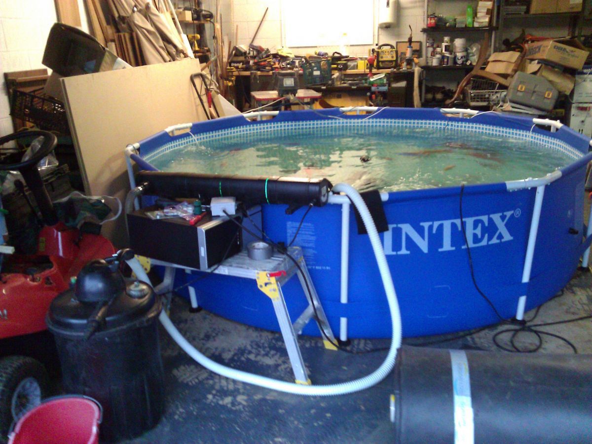 Intex Temporary Pool in my garage