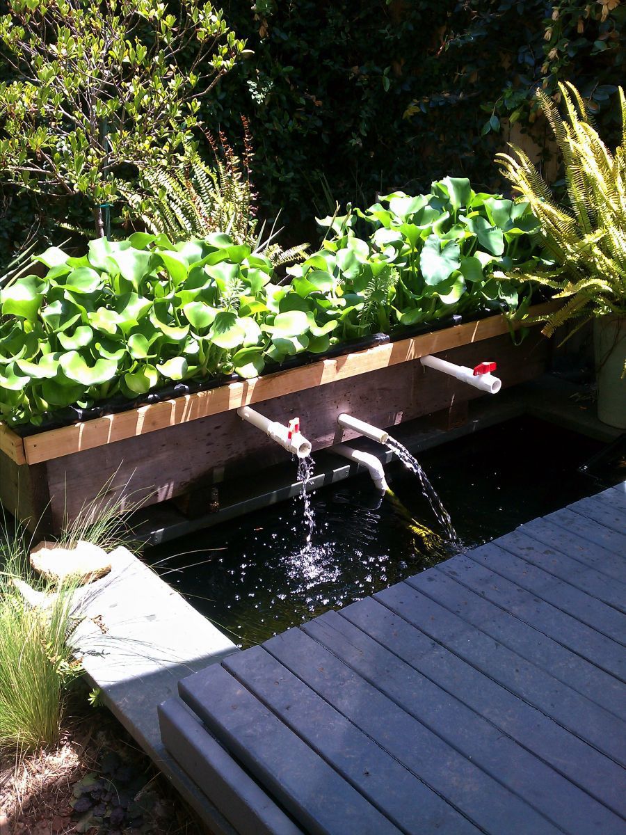 Johns Koi Pond 8.2011