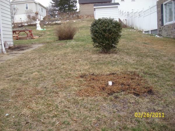 larger pond will be down here where that white pipe is running back to about where that holly bush is