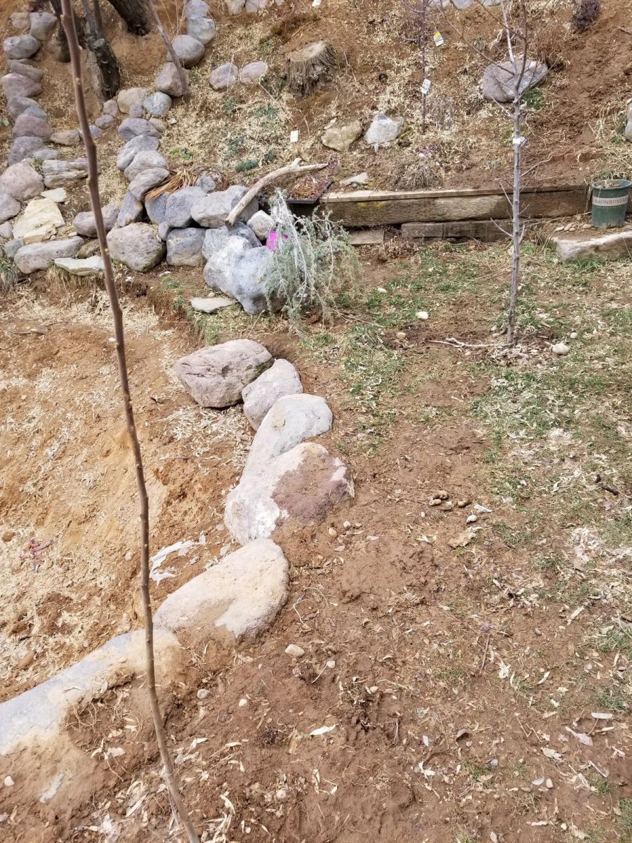Larger view of where the bog could go
