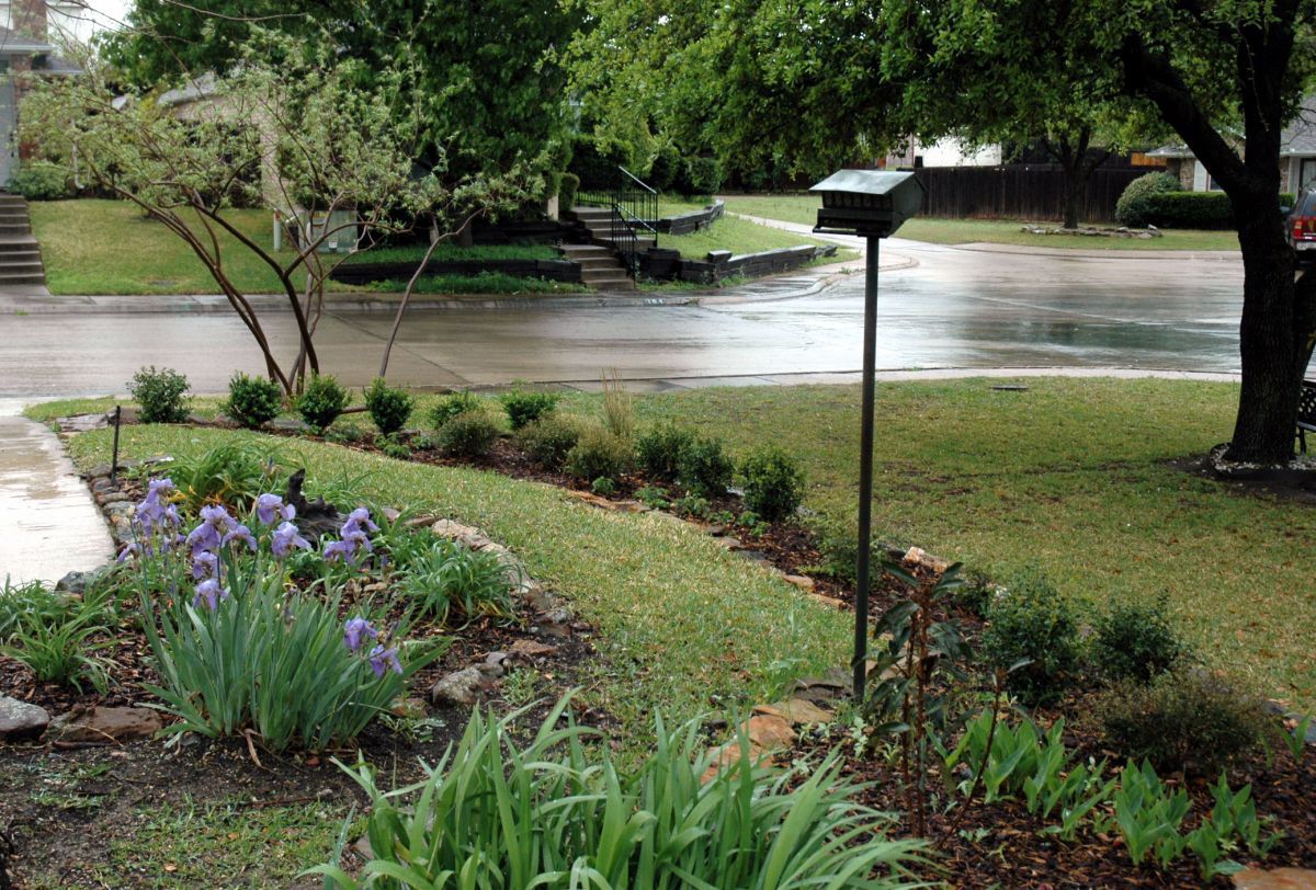 Long View of Property Border Bed