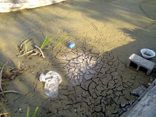 mud5