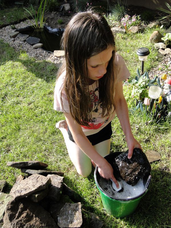 My little helper cleaning the rocks