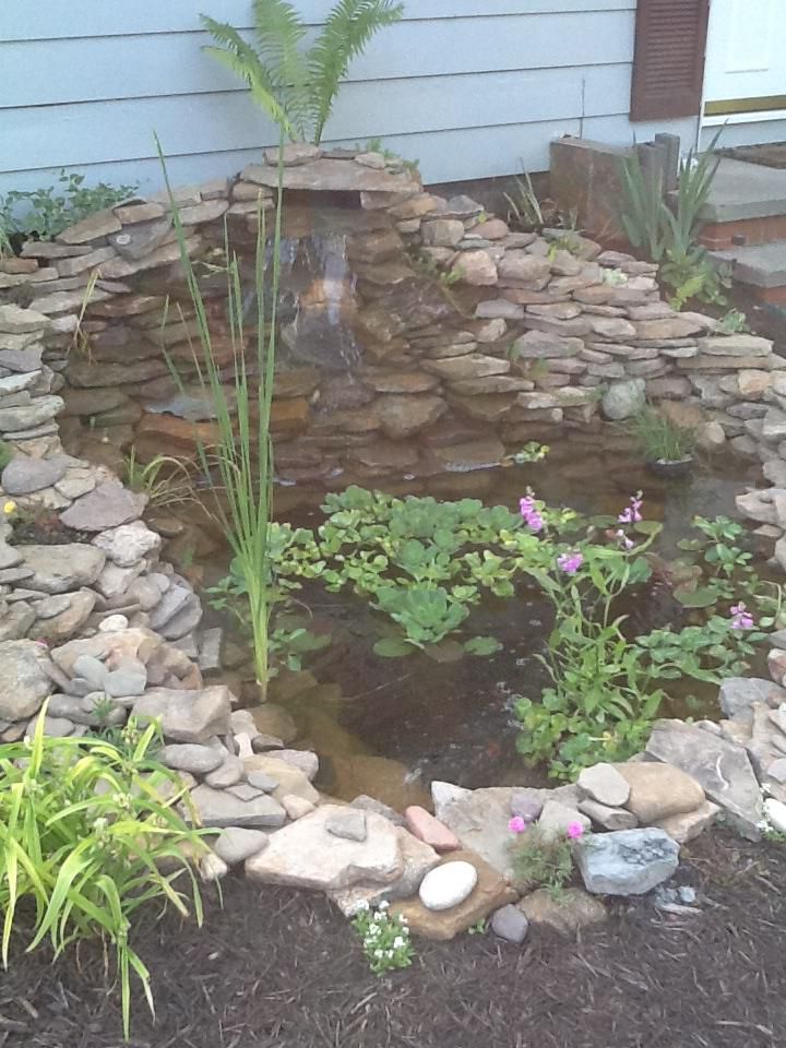 My new pond