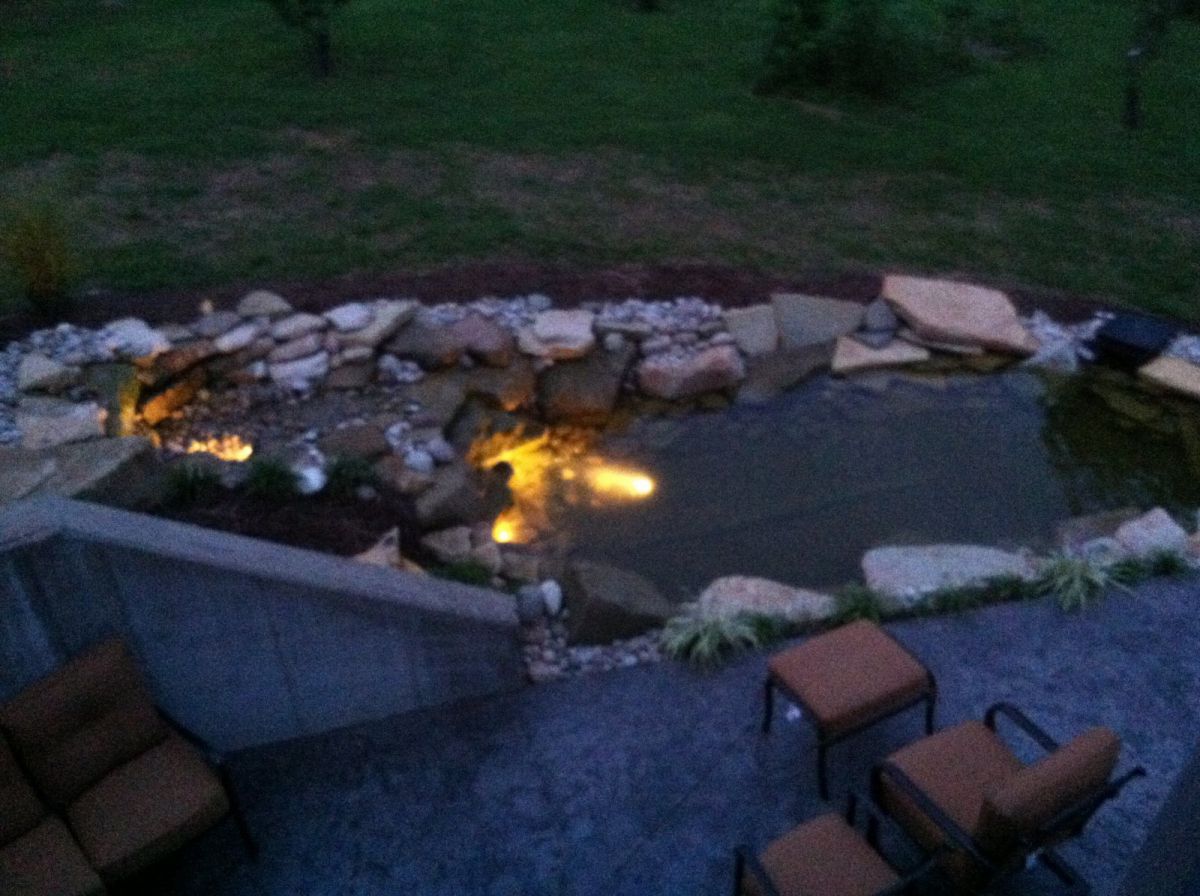 My pond