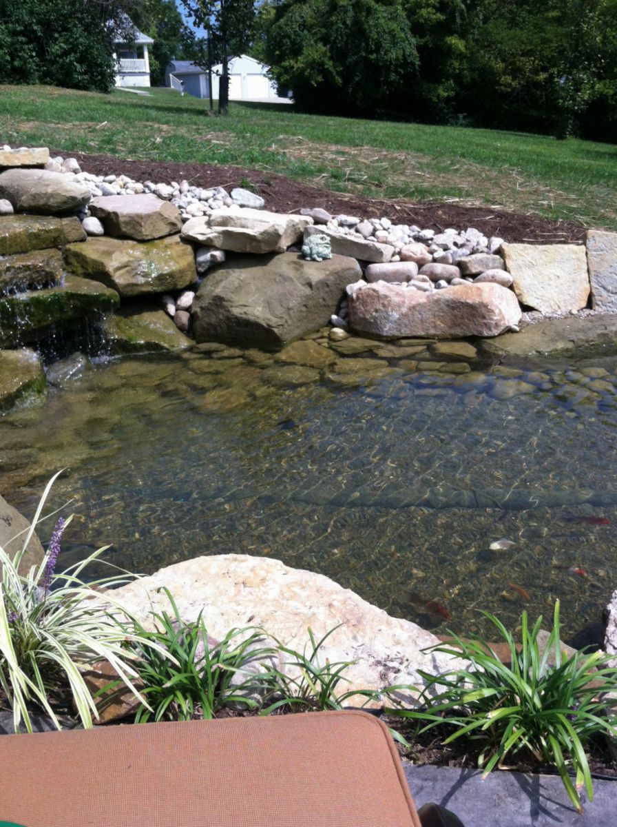 My pond