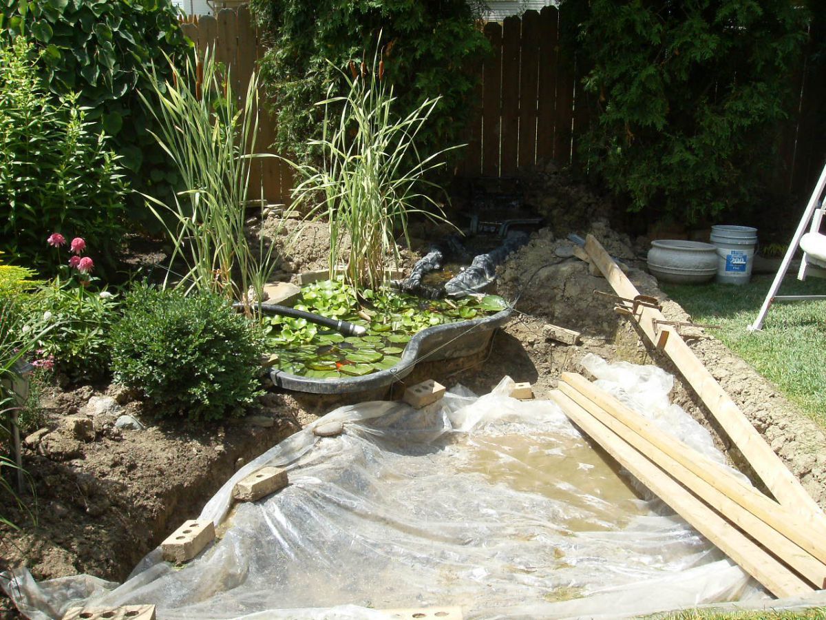 New/Old Pond #1