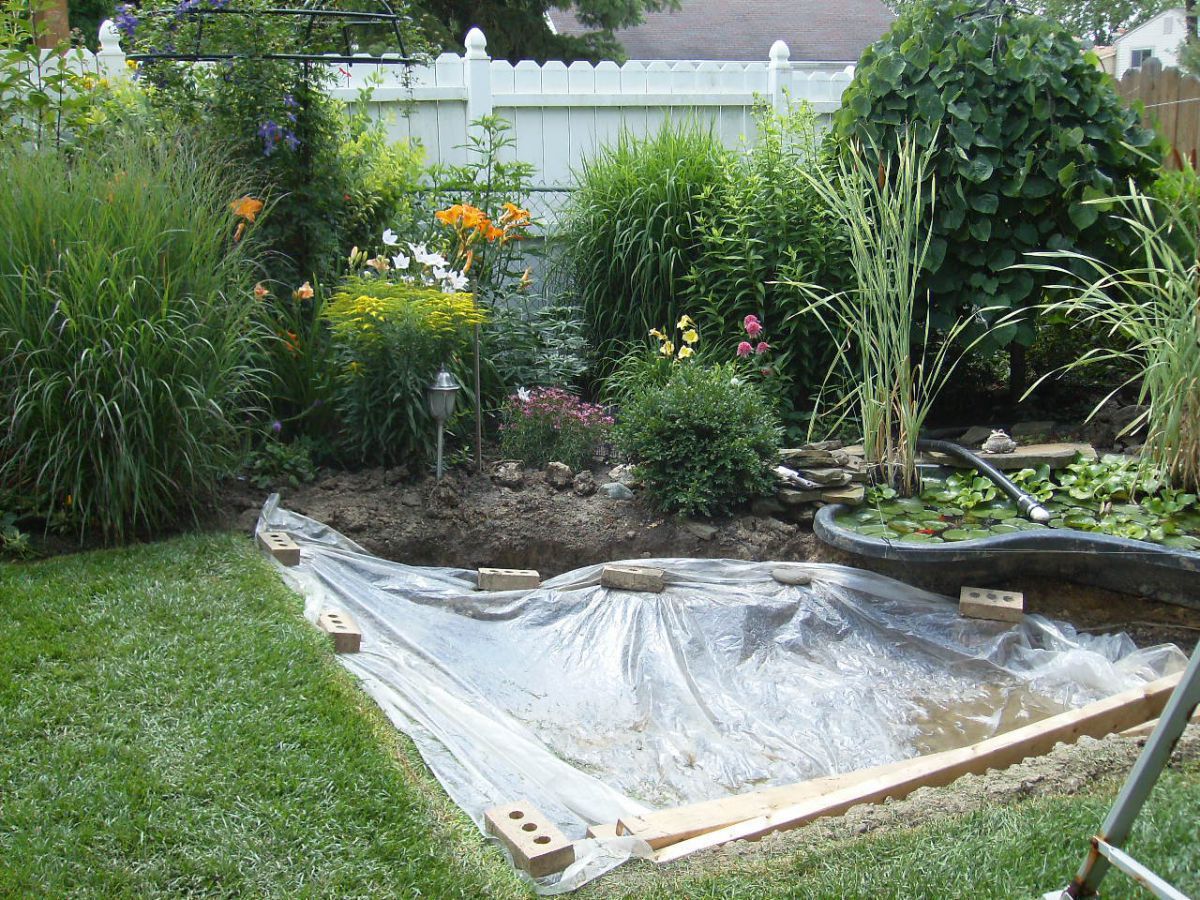 New/old Pond #2