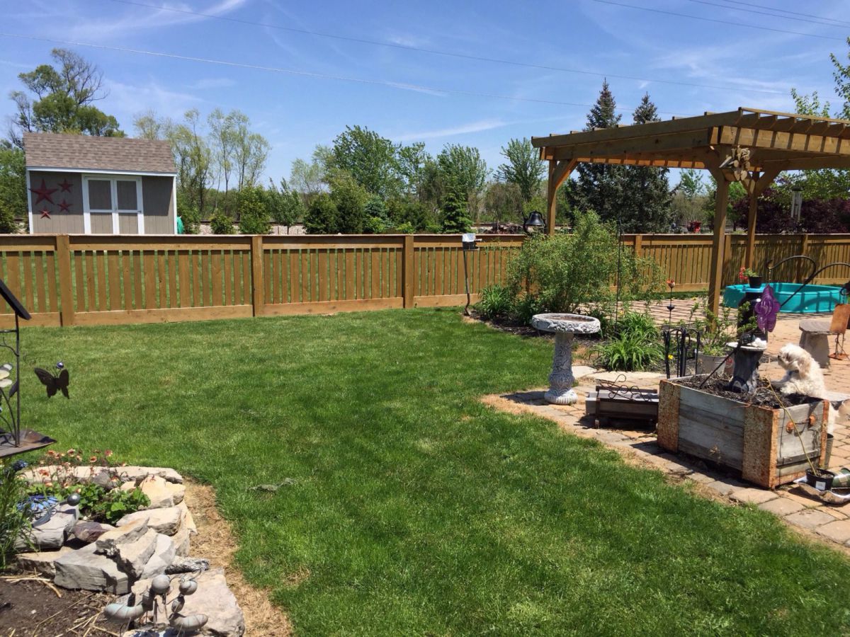 New pond site