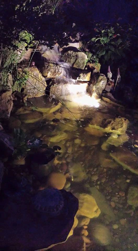 Night Lighting in Young's Pond