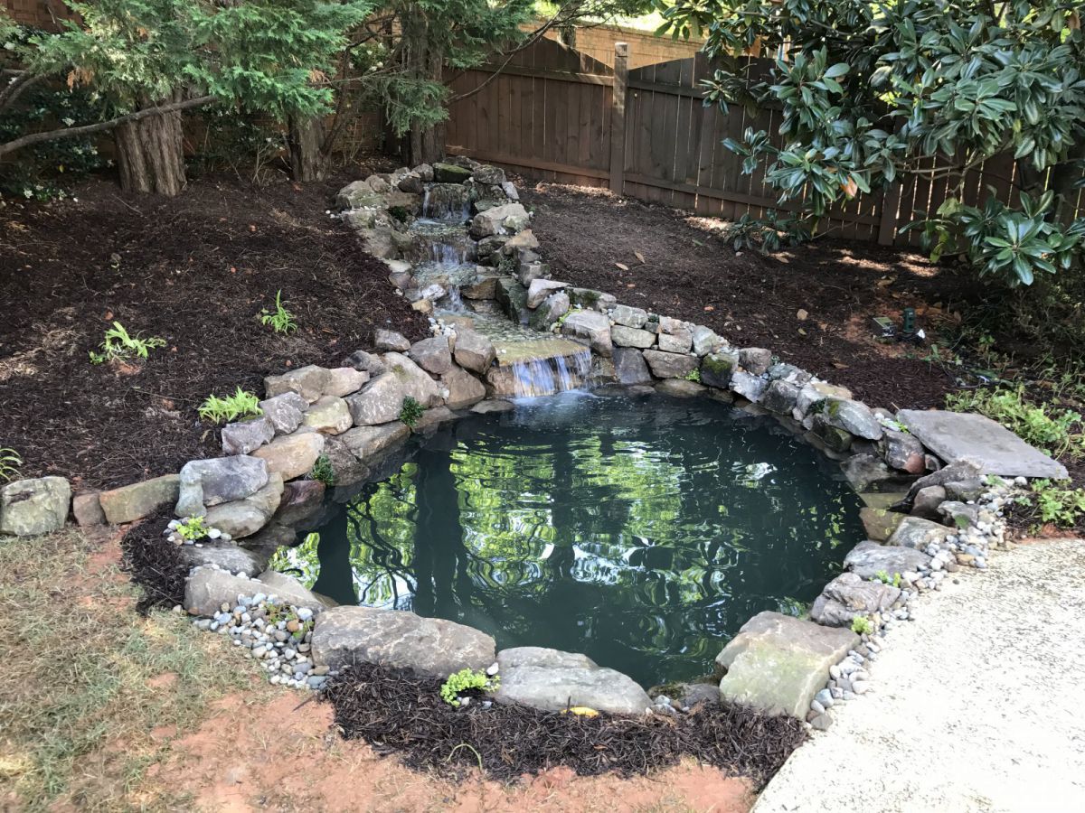 Our pond