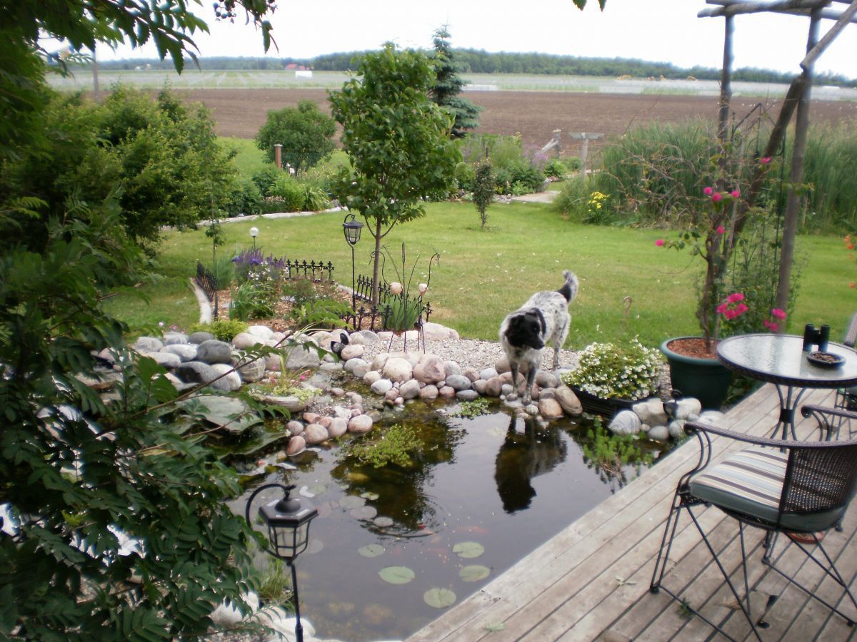 P6270011