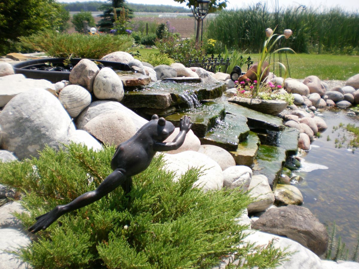 P6270023