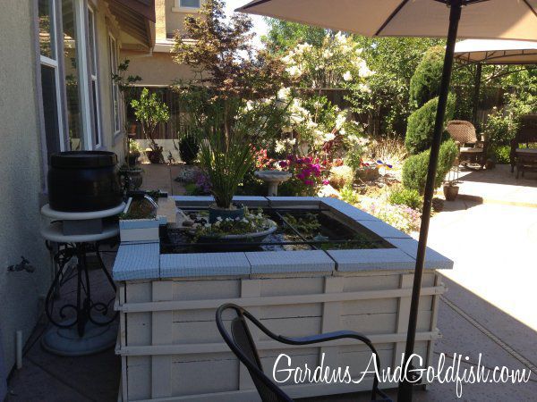 Patio Goldfish Pond