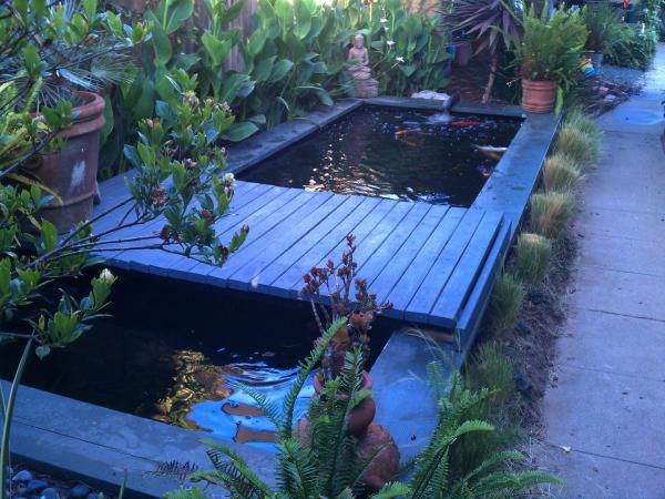Pic of koi pond (4000 gal) before addition of biological plant clarifier. 7.2011