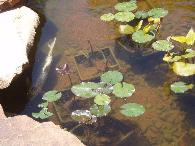 picture 30