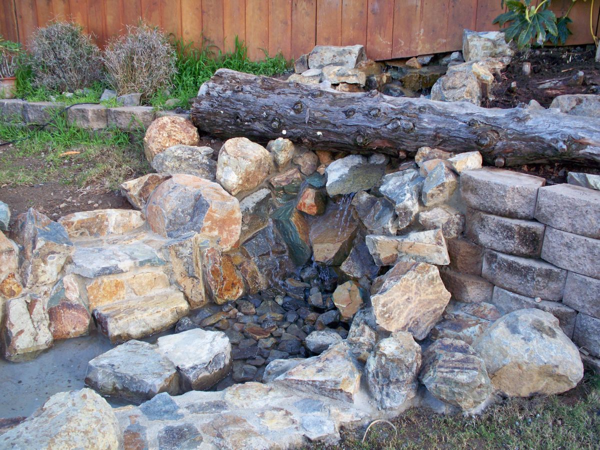 Planter Outside Pond