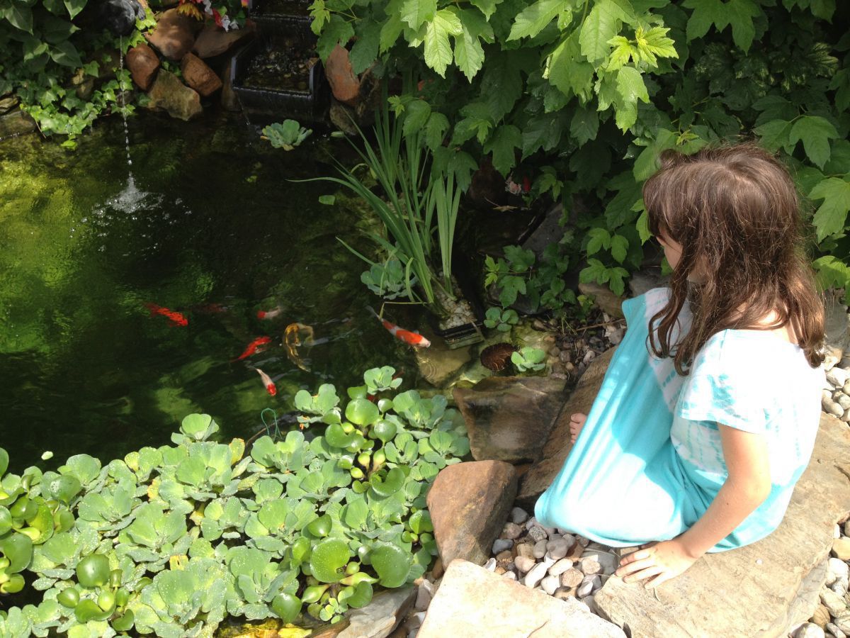 pond 004