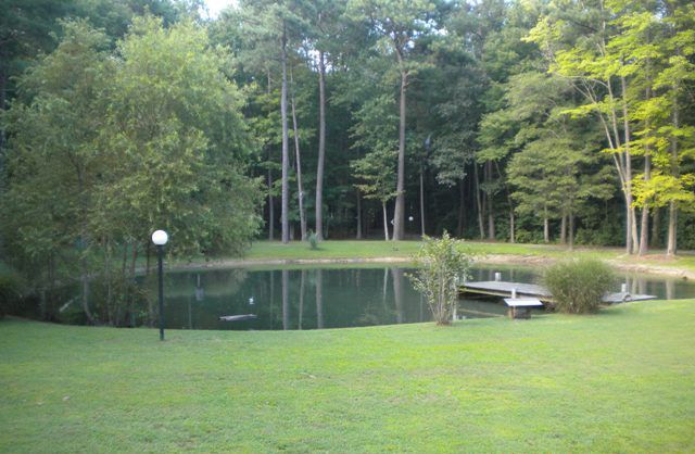 Pond 1