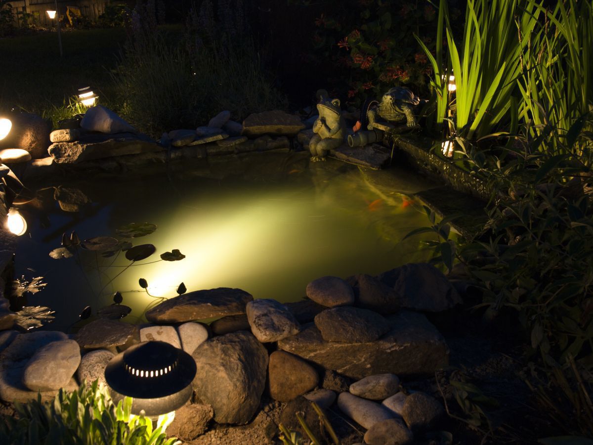 Pond 2012 side view At night