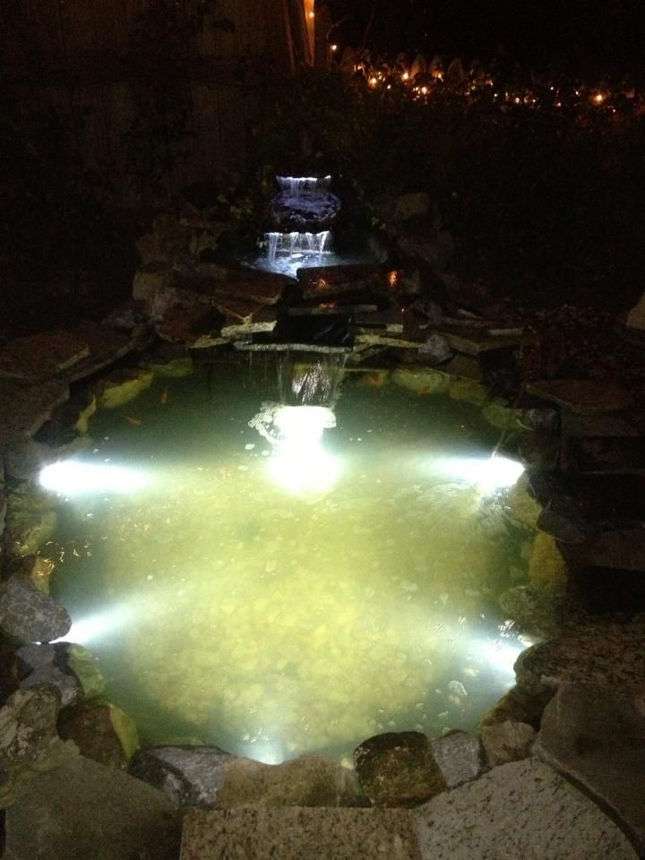 Pond 2013 Night