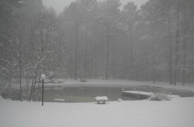 Pond 4