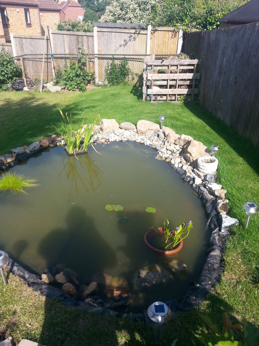 pond adjustment 10th july 2013 013