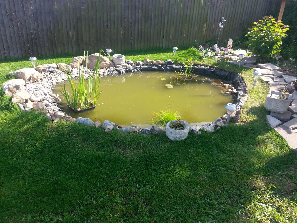 pond adjustment 10th july 2013 014