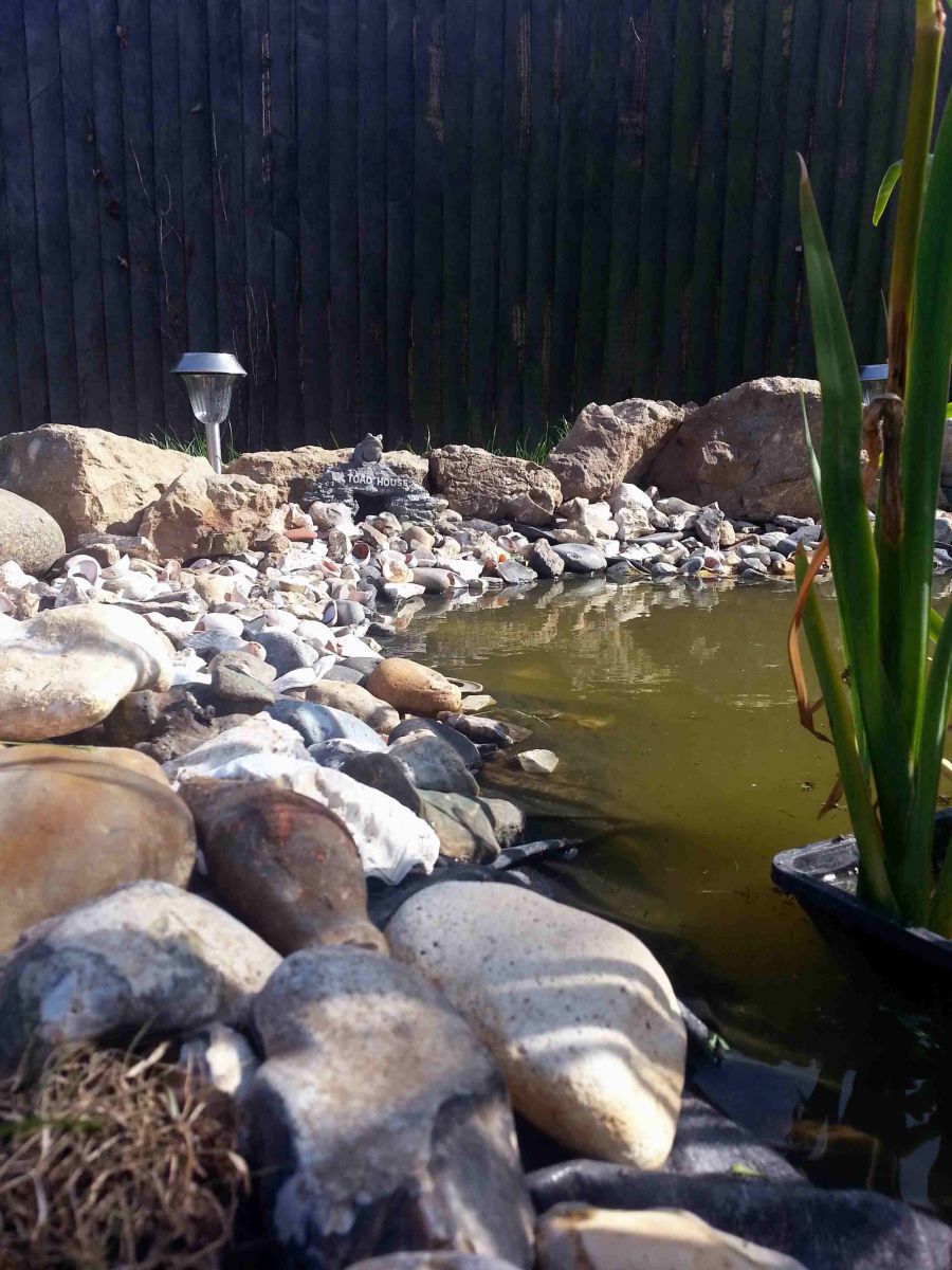 pond adjustment 10th july 2013 015