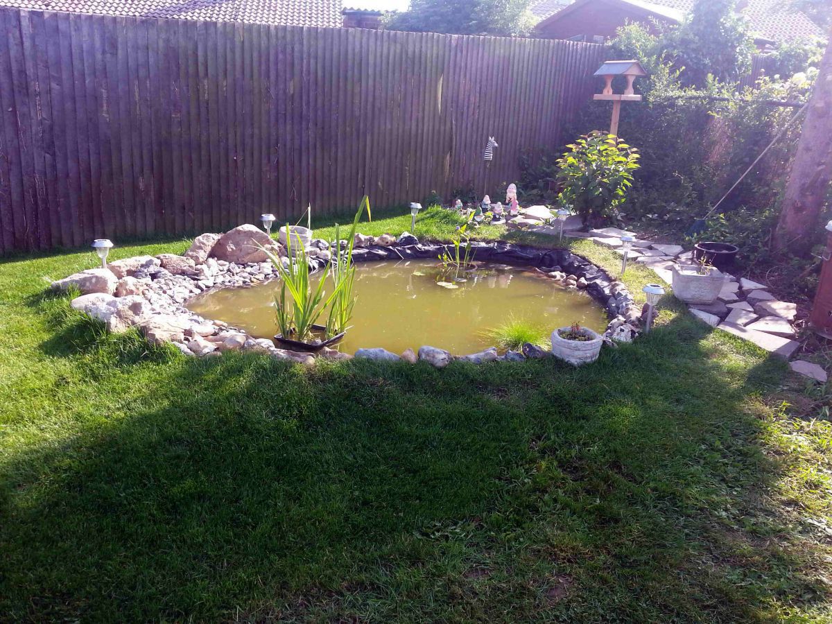 pond adjustment 10th july 2013 018