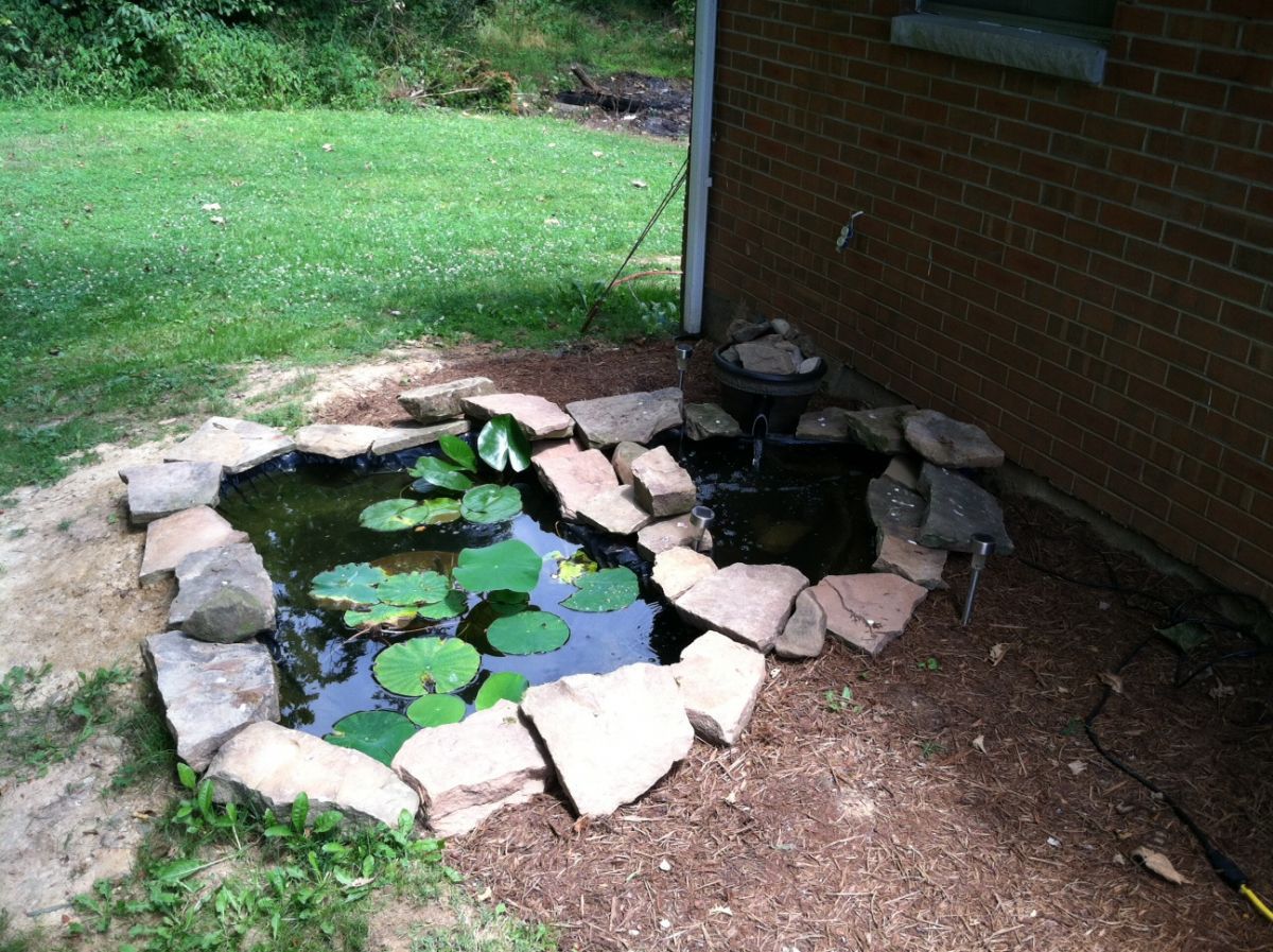 pond as of 6/27/2012