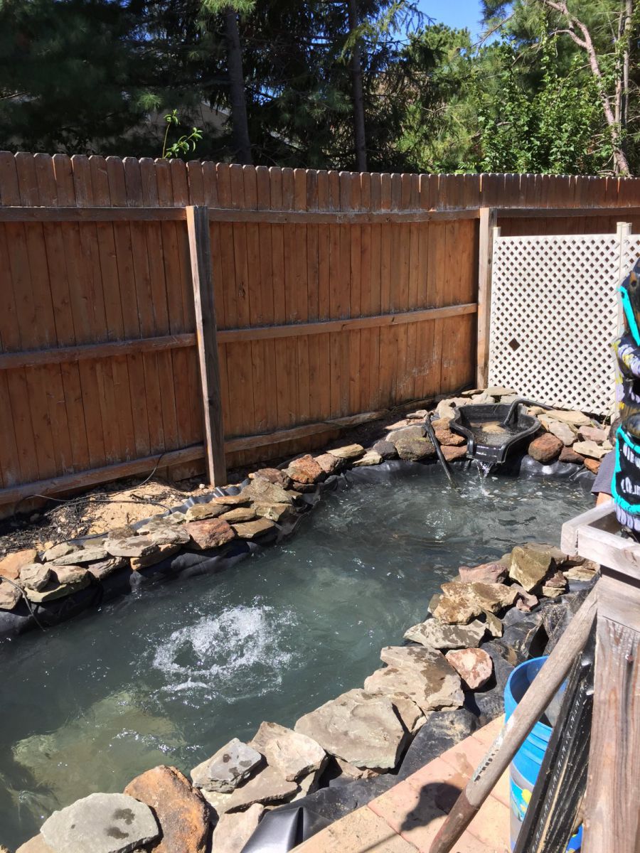 Pond before plants added.