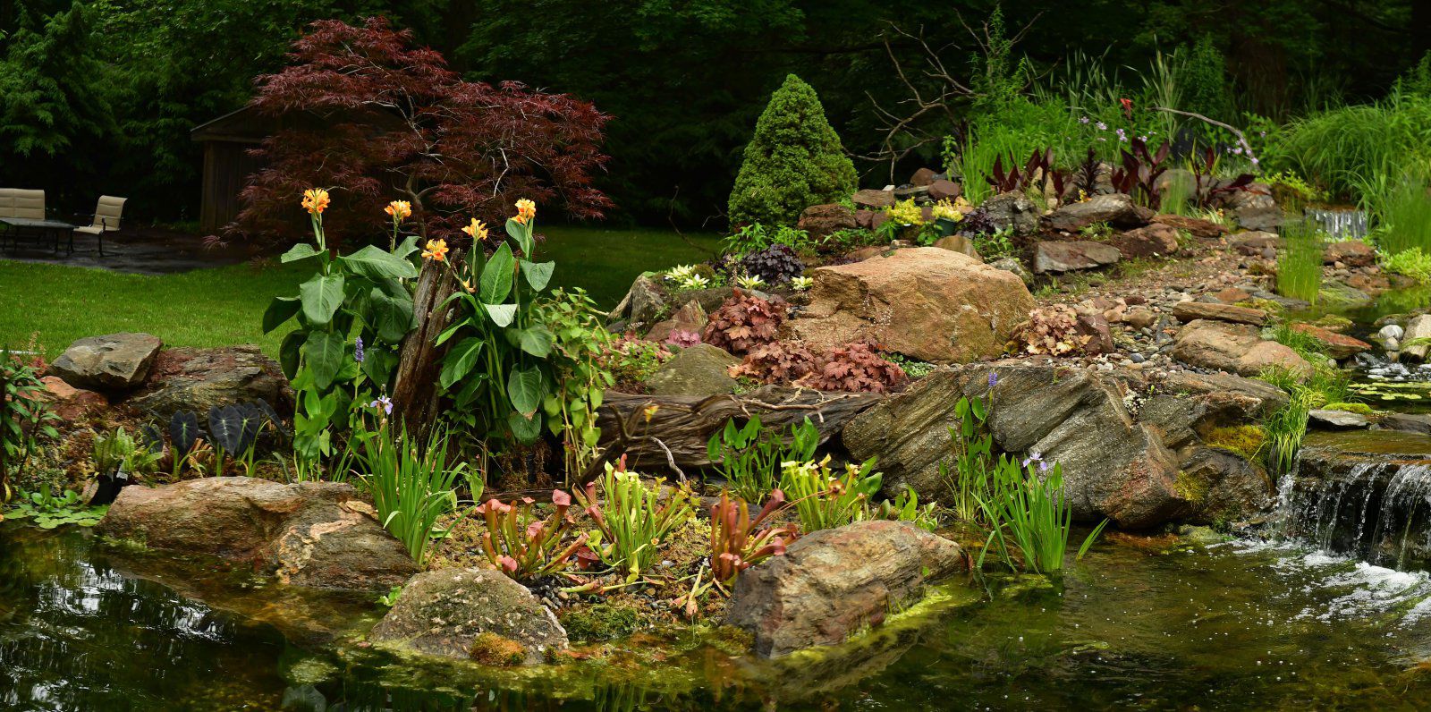 pond best  (22 of 46).jpg